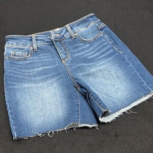 Time and Tru Dark Blue Denim Shorts
